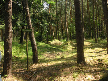 Odenwaldlimes--Wp-10-8-red.jpg